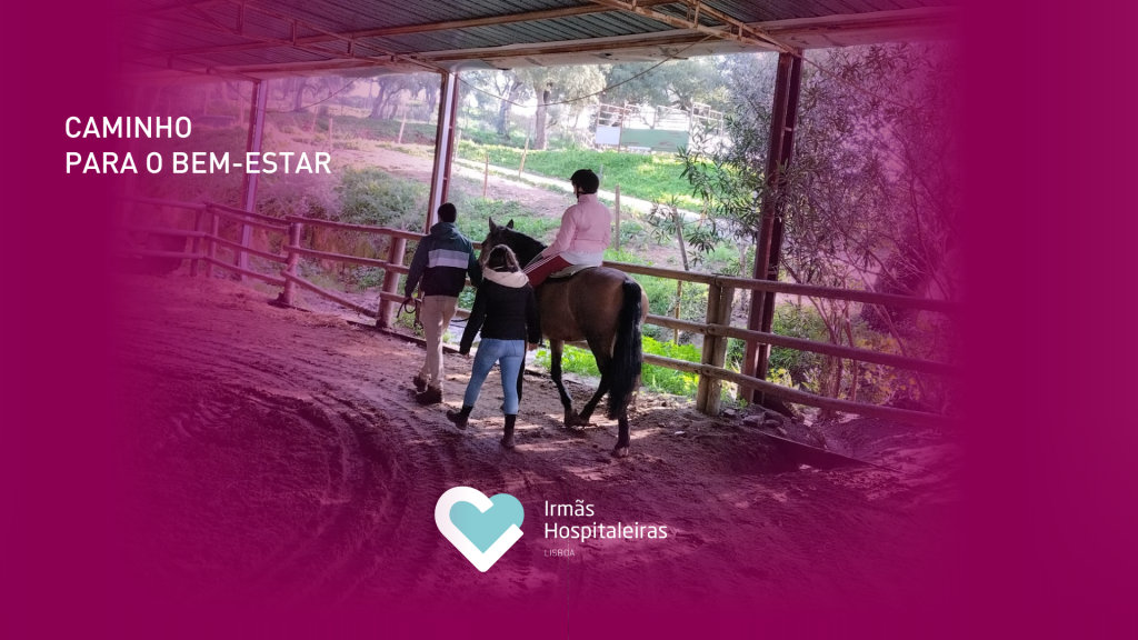 Terapia com cavalos no CRM: Caminho para o Bem-Estar